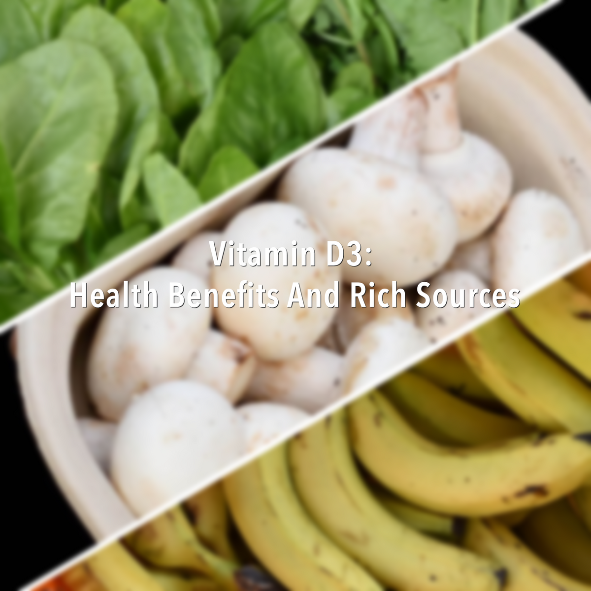 Vitamin D3 Health Benefits And Rich Foods I Say Organic