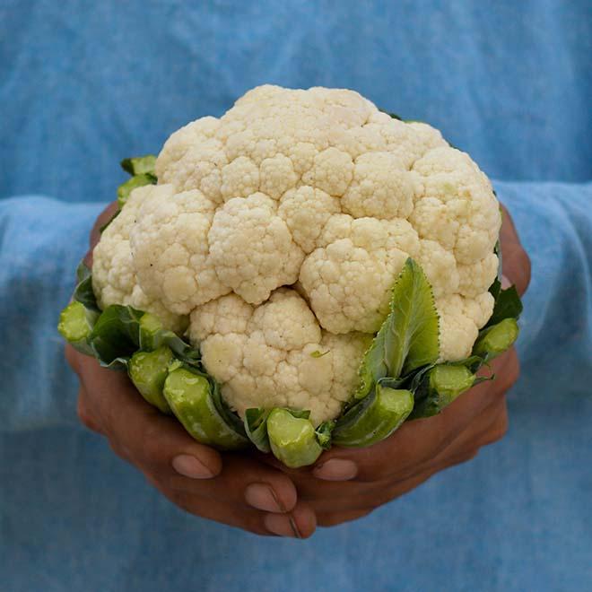 Organic Cauliflower (Phool Gobi)