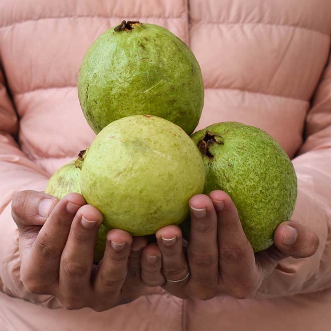 Guava / Amrood