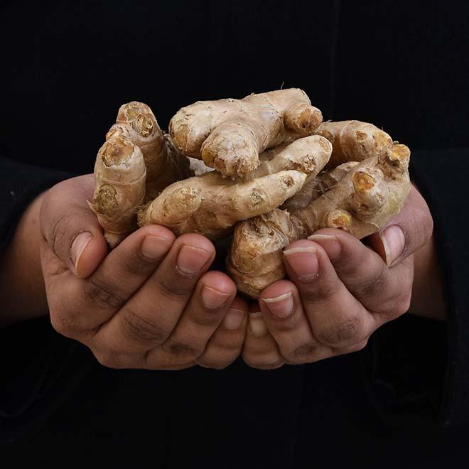 Organic Ginger (Adrak)