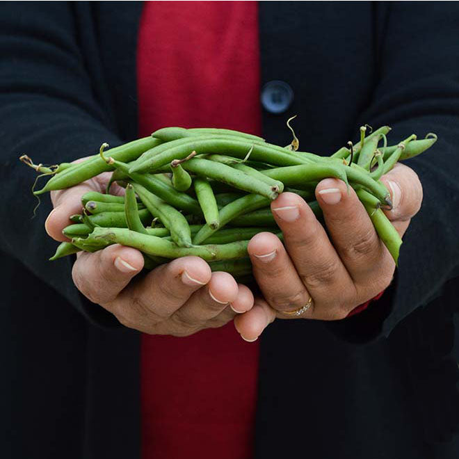 Organic French Beans