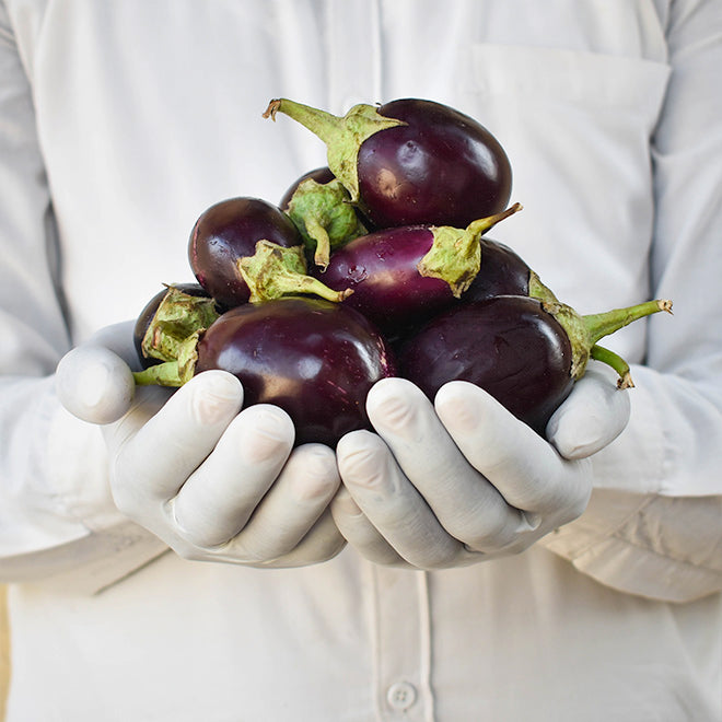 Brinjal (Baingan) Small