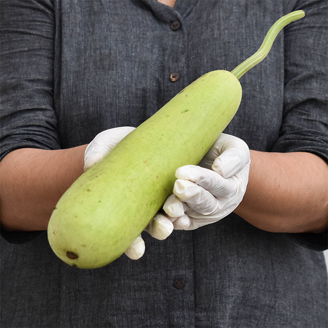 Lauki (Long Bottle Gourd)