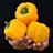 Organic Capsicum-Yellow