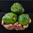 Organic Green Capsicum (Shimla Mirch)