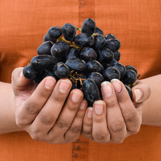 Black Grapes (Angoor)