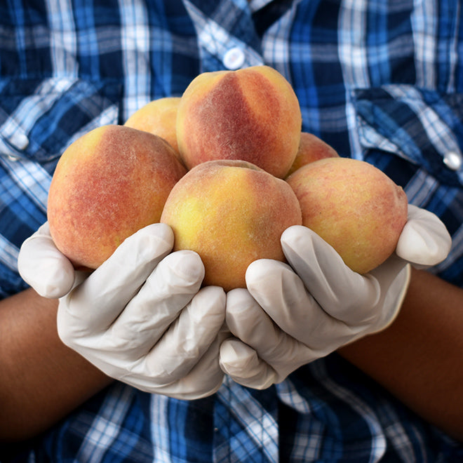 Peach (Adu - Semi Ripe)