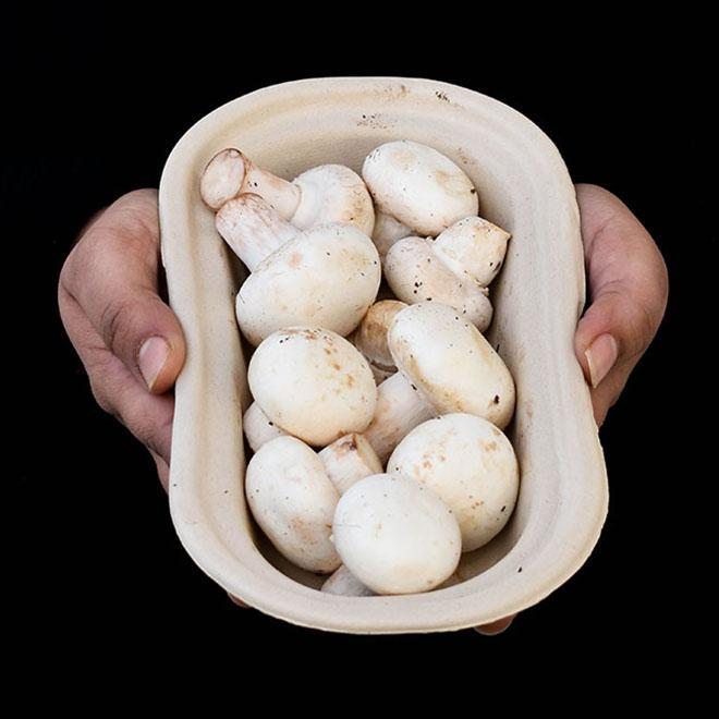 Button Mushroom