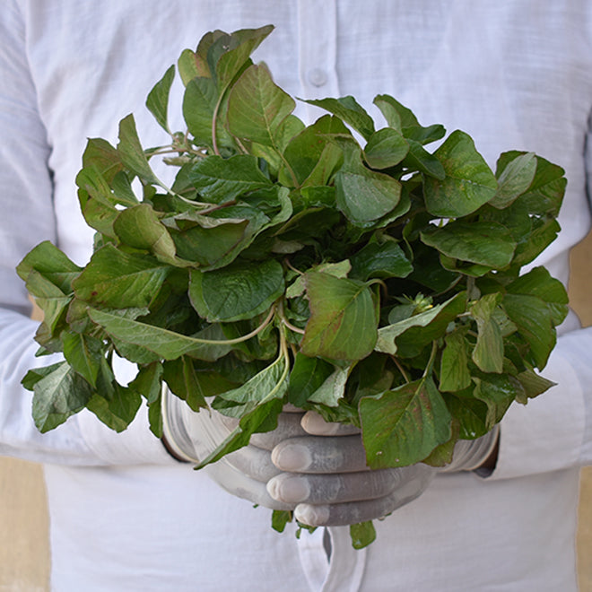 Amaranth Leaves (Chaulai Saag Green)