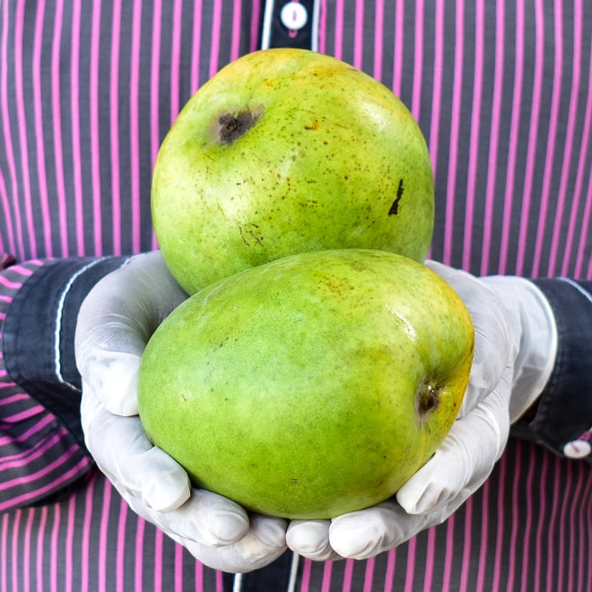 Mango (Aam) Coconut  (semi ripe)