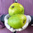 Mango (Aam) Coconut  (semi ripe)