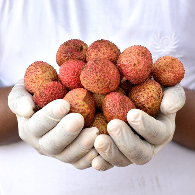 Litchi Loose