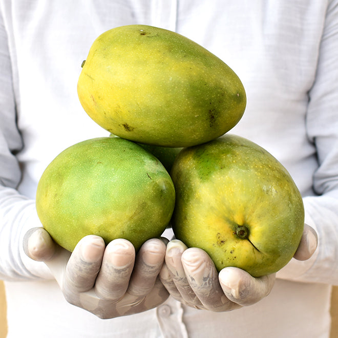Mango Imamoasand