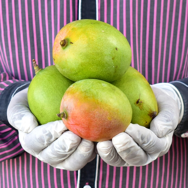 Mango (Aam) Rasam  (semi ripe)