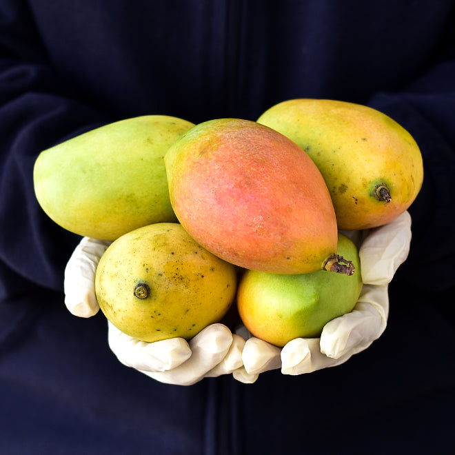 Mango Rasalu( semi Ripe)