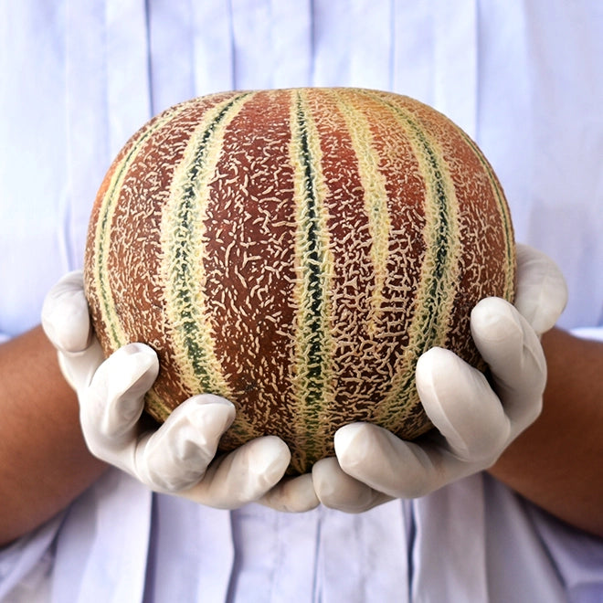 Muskmelon