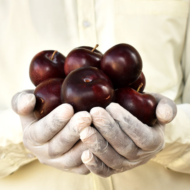 Plum (Aloo Bukhara)