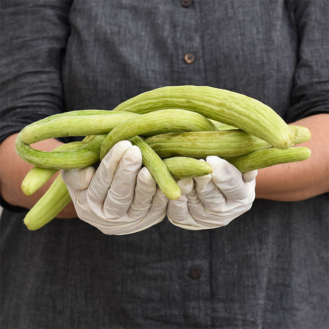 Armenian Cucumber (Kakdi)