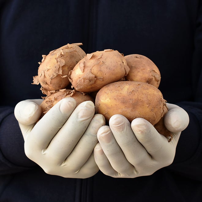Potato Pahadi (Pahadi Aloo)